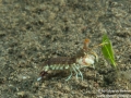 IMG_7127.jpg