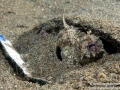 IMG_7341.jpg