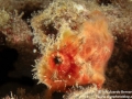 f28790080.jpg