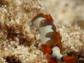 f29290816.jpg