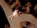 IMG_2406