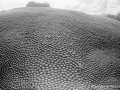 IMG_7663