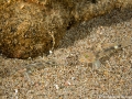 IMG_9499.jpg