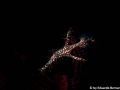IMG_9504.jpg