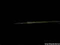 IMG_9599.jpg
