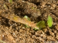 IMG_9661.jpg